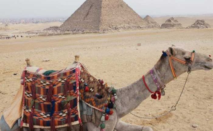 egypt pyramid travell package