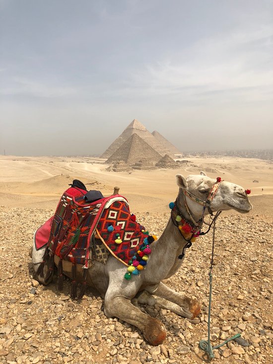 egypt easter tours 2020