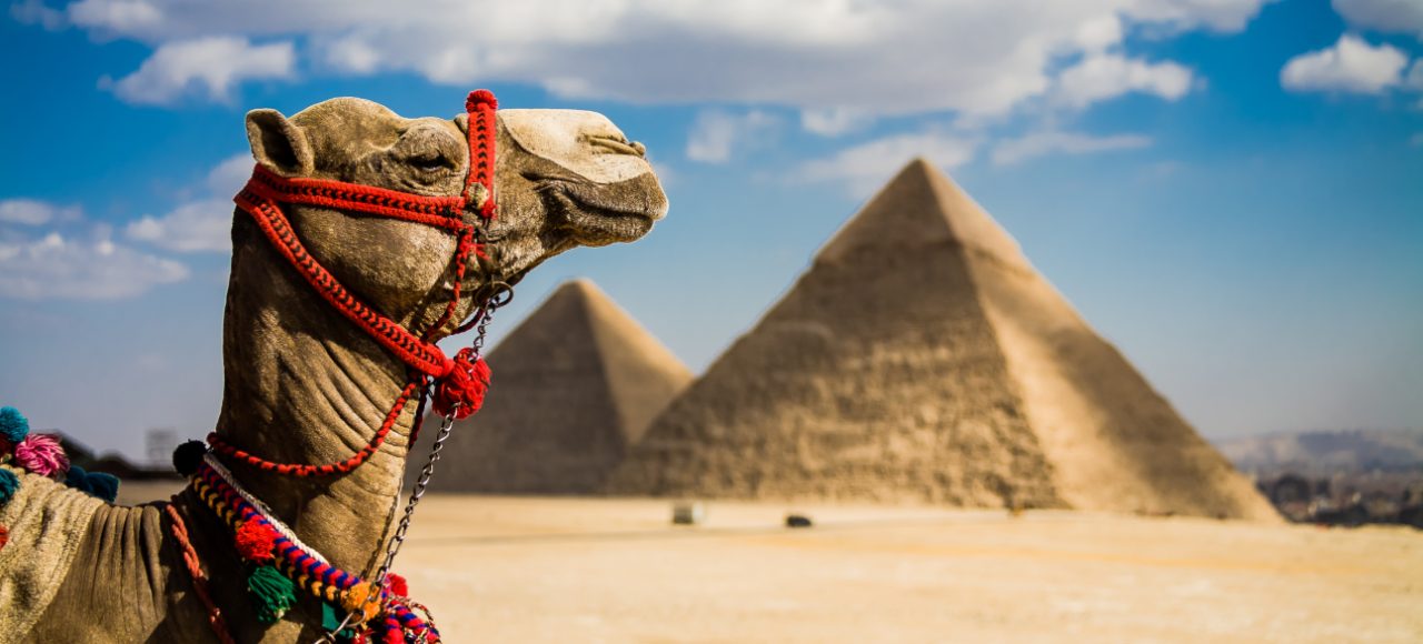Egypt tour packages from canada